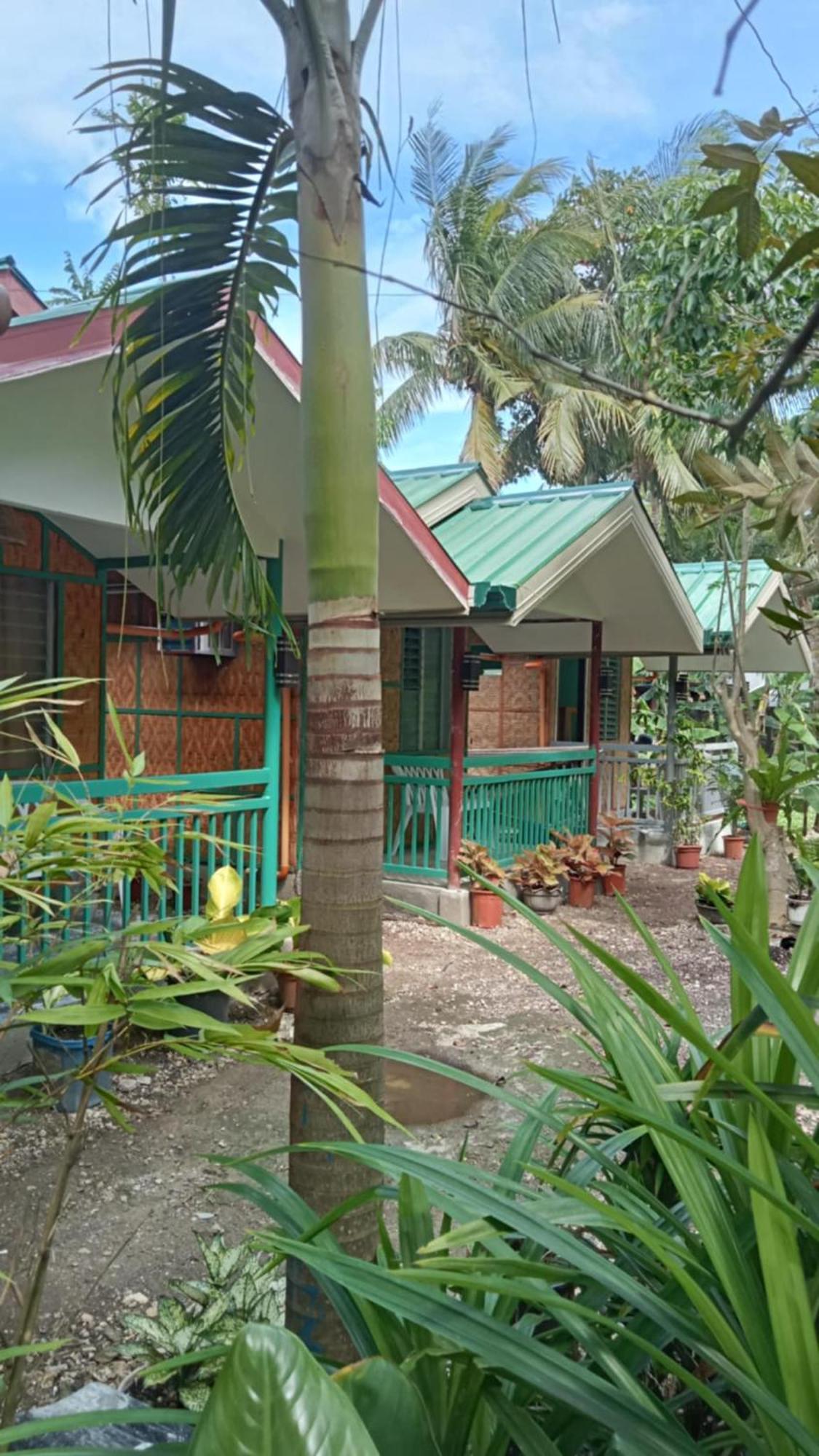 טאגבילראן סיטי Bohol Triple M Tourist Inn מראה חיצוני תמונה